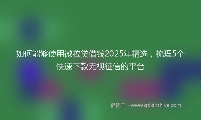 如何能够使用微粒贷借钱2025年精选，梳理5个快速下款无视征信的平台