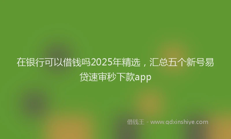 在银行可以借钱吗2025年精选，汇总五个新号易贷速审秒下款app