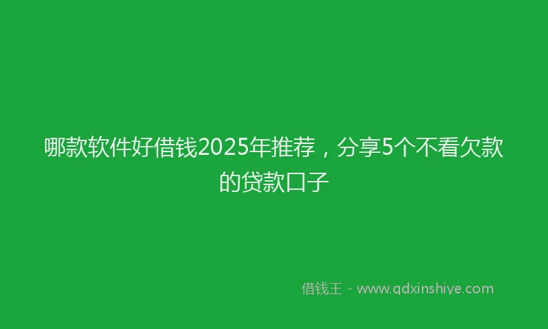 哪款软件好借钱2025年推荐，分享5个不看欠款的贷款口子