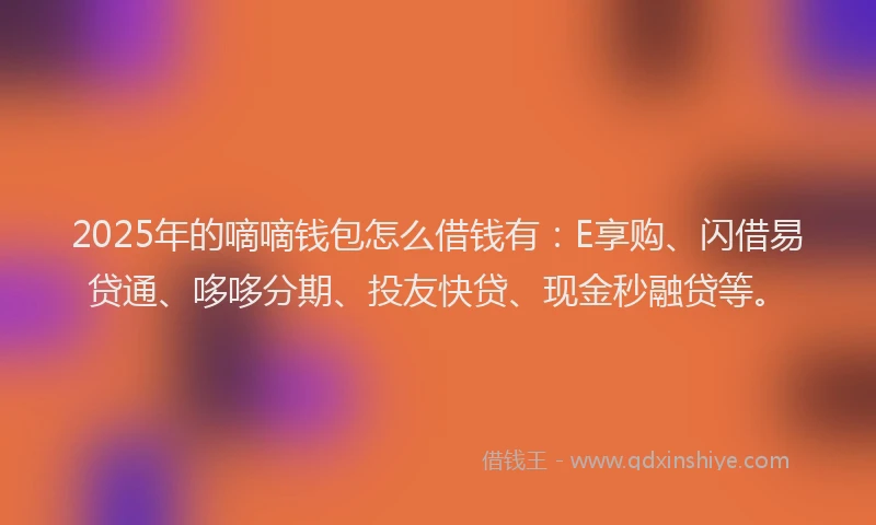 2025年的嘀嘀钱包怎么借钱有：E享购、闪借易贷通、哆哆分期、投友快贷、现金秒融贷等。