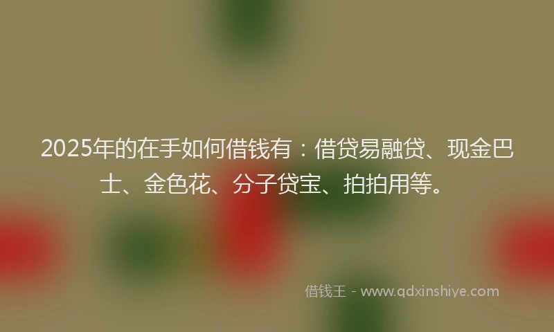 2025年的在手如何借钱有：借贷易融贷、现金巴士、金色花、分子贷宝、拍拍用等。