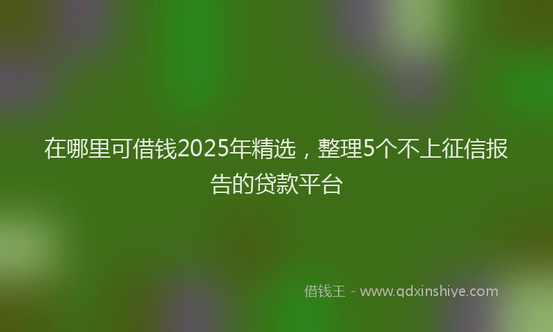 在哪里可借钱2025年精选，整理5个不上征信报告的贷款平台