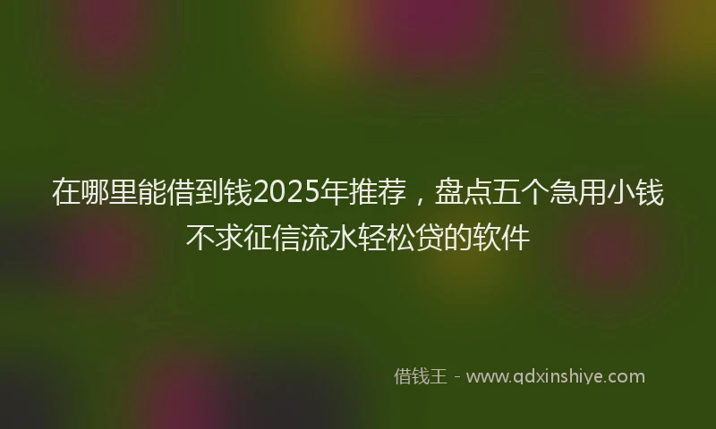 在哪里能借到钱2025年推荐，盘点五个急用小钱不求征信流水轻松贷的软件
