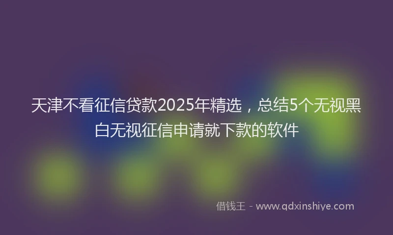 天津不看征信贷款2025年精选，总结5个无视黑白无视征信申请就下款的软件