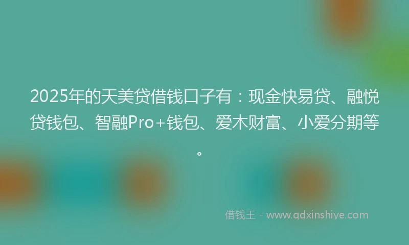 2025年的天美贷借钱口子有：现金快易贷、融悦贷钱包、智融Pro+钱包、爱木财富、小爱分期等。