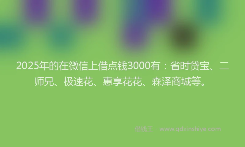 2025年的在微信上借点钱3000有：省时贷宝、二师兄、极速花、惠享花花、森泽商城等。