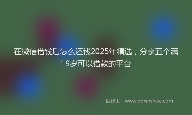 在微信借钱后怎么还钱2025年精选，分享五个满19岁可以借款的平台