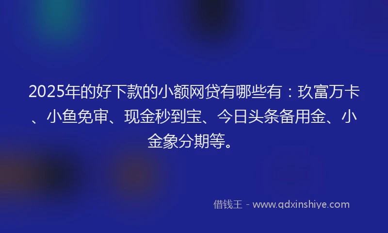 2025年的好下款的小额网贷有哪些有：玖富万卡、小鱼免审、现金秒到宝、今日头条备用金、小金象分期等。