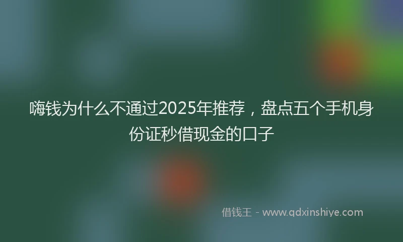 嗨钱为什么不通过2025年推荐，盘点五个手机身份证秒借现金的口子
