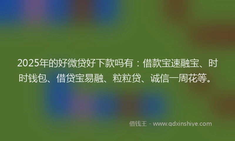 2025年的好微贷好下款吗有：借款宝速融宝、时时钱包、借贷宝易融、粒粒贷、诚信一周花等。