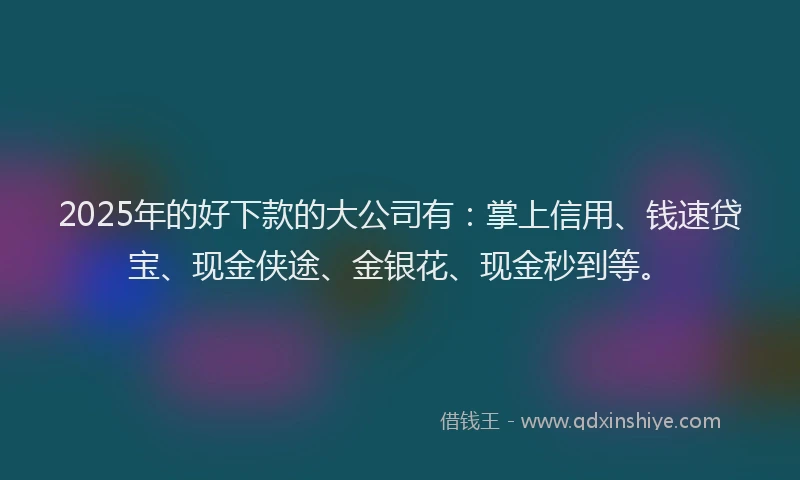 2025年的好下款的大公司有：掌上信用、钱速贷宝、现金侠途、金银花、现金秒到等。