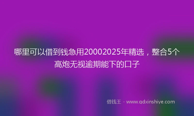 哪里可以借到钱急用20002025年精选，整合5个高炮无视逾期能下的口子