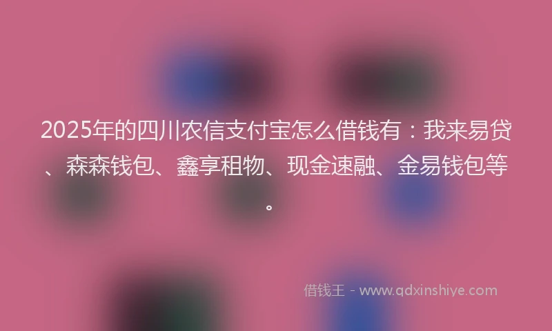 2025年的四川农信支付宝怎么借钱有：我来易贷、森森钱包、鑫享租物、现金速融、金易钱包等。