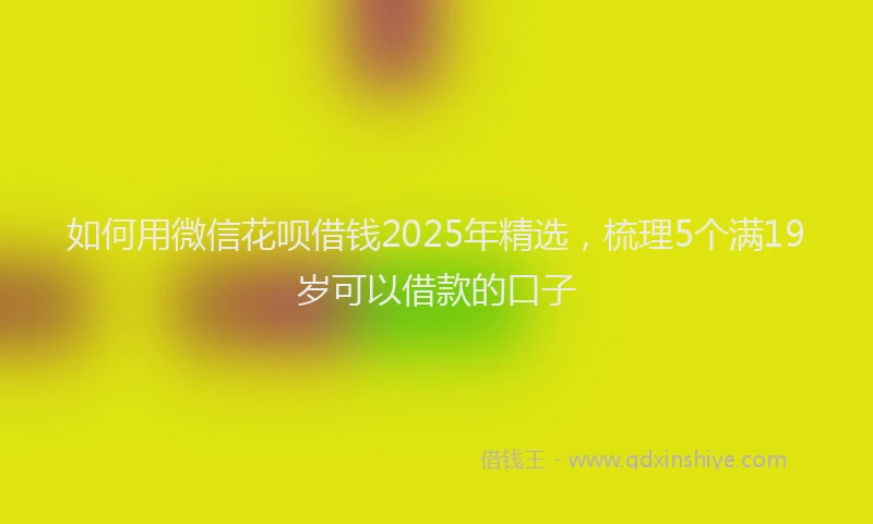 如何用微信花呗借钱2025年精选，梳理5个满19岁可以借款的口子