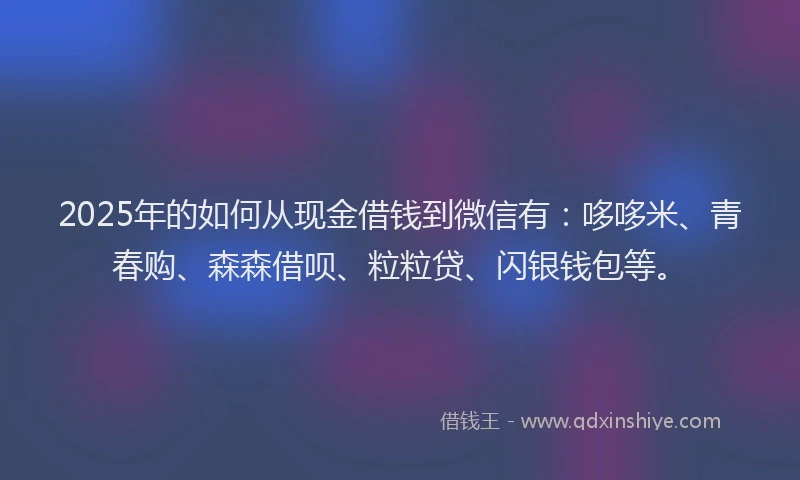 2025年的如何从现金借钱到微信有：哆哆米、青春购、森森借呗、粒粒贷、闪银钱包等。