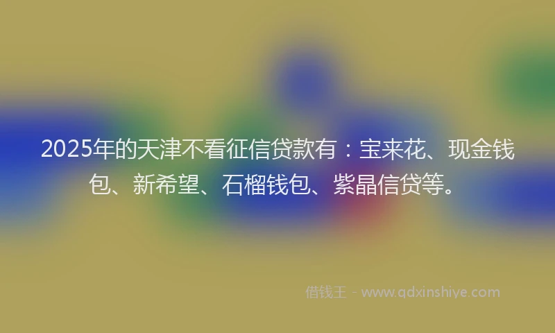 2025年的天津不看征信贷款有：宝来花、现金钱包、新希望、石榴钱包、紫晶信贷等。
