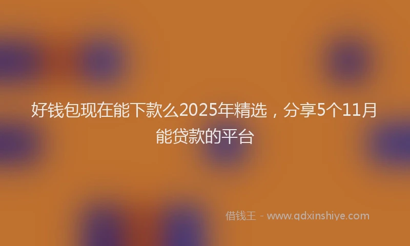 好钱包现在能下款么2025年精选，分享5个11月能贷款的平台