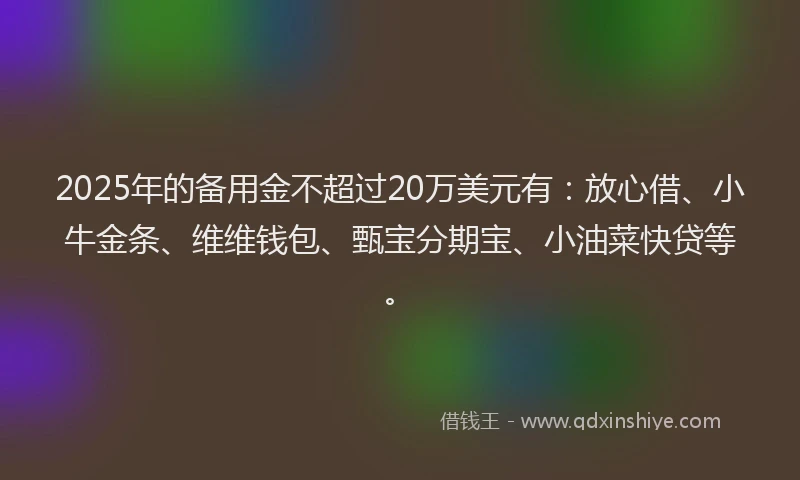 2025年的备用金不超过20万美元有：放心借、小牛金条、维维钱包、甄宝分期宝、小油菜快贷等。