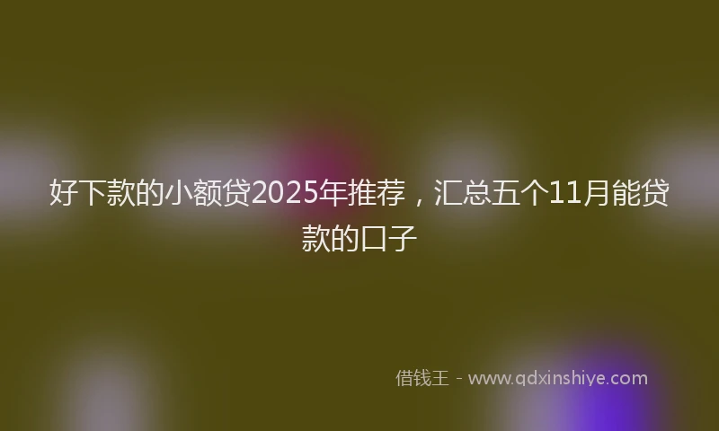 好下款的小额贷2025年推荐，汇总五个11月能贷款的口子