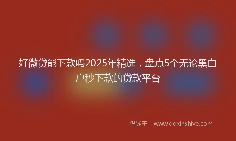 好微贷能下款吗2025年精选，盘点5个无论黑白户秒下款的贷款平台