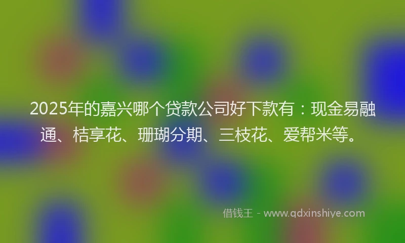 2025年的嘉兴哪个贷款公司好下款有：现金易融通、桔享花、珊瑚分期、三枝花、爱帮米等。