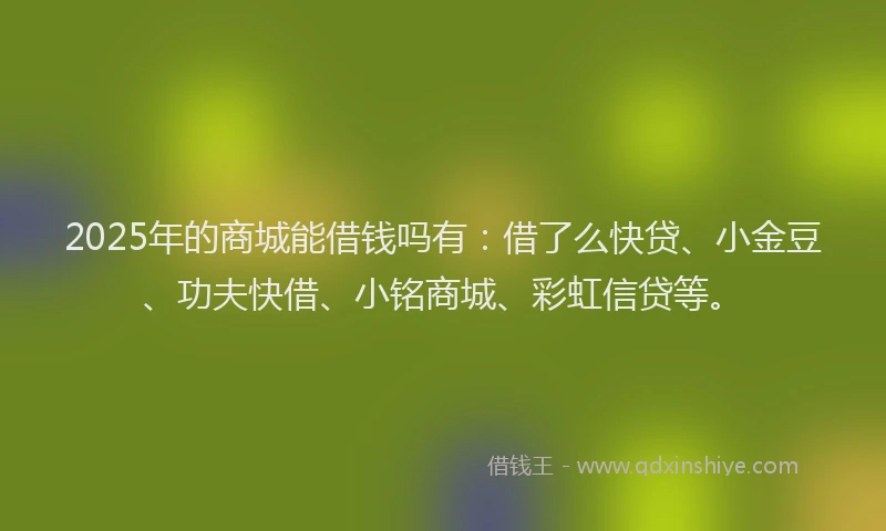 2025年的商城能借钱吗有：借了么快贷、小金豆、功夫快借、小铭商城、彩虹信贷等。