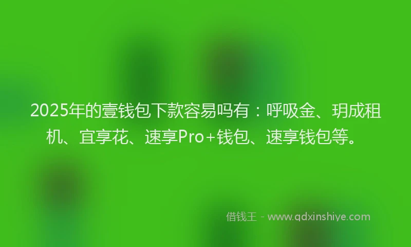 2025年的壹钱包下款容易吗有：呼吸金、玥成租机、宜享花、速享Pro+钱包、速享钱包等。