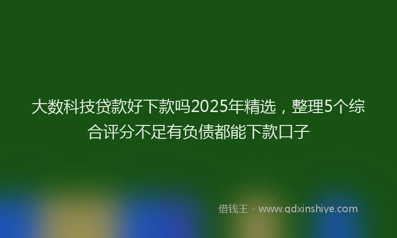 大数科技贷款好下款吗2025年精选，整理5个综合评分不足有负债都能下款口子
