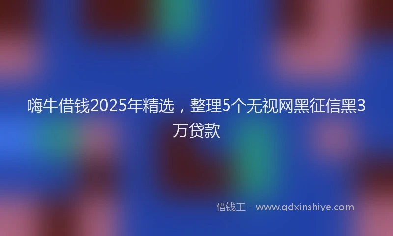 嗨牛借钱2025年精选，整理5个无视网黑征信黑3万贷款
