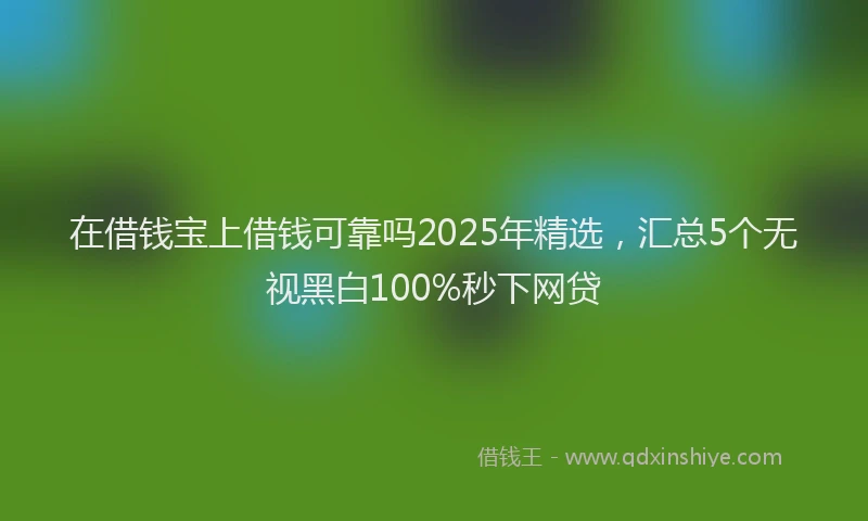 在借钱宝上借钱可靠吗2025年精选，汇总5个无视黑白100%秒下网贷