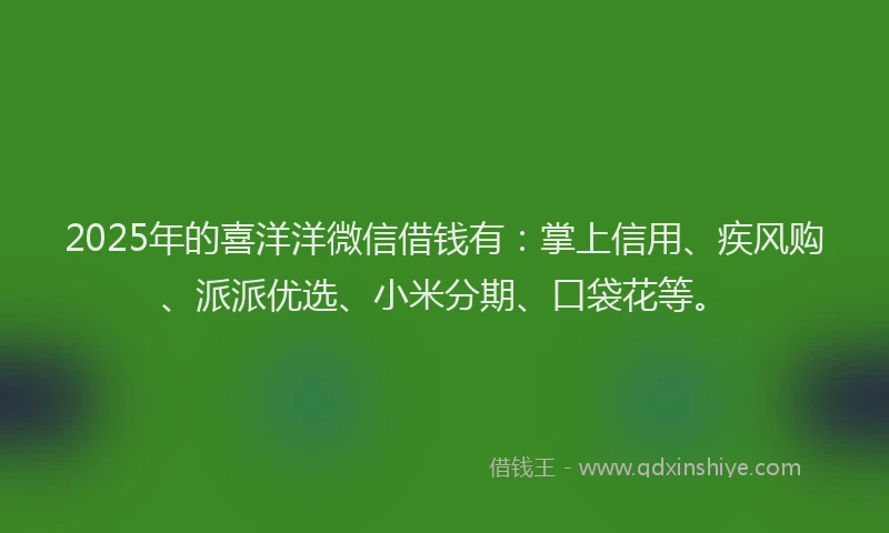 2025年的喜洋洋微信借钱有：掌上信用、疾风购、派派优选、小米分期、口袋花等。