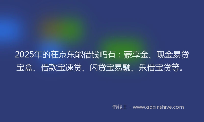 2025年的在京东能借钱吗有：蒙享金、现金易贷宝盒、借款宝速贷、闪贷宝易融、乐借宝贷等。
