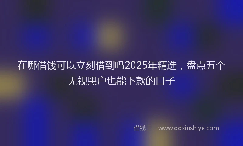 在哪借钱可以立刻借到吗2025年精选，盘点五个无视黑户也能下款的口子