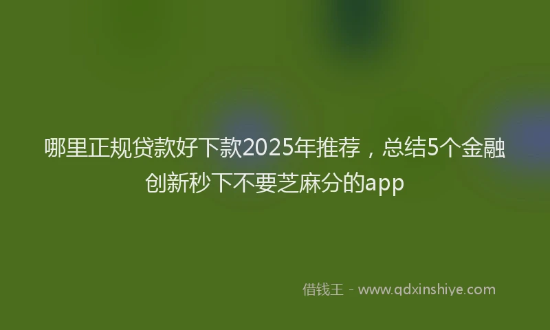 哪里正规贷款好下款2025年推荐，总结5个金融创新秒下不要芝麻分的app