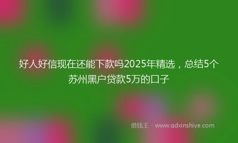 好人好信现在还能下款吗2025年精选，总结5个苏州黑户贷款5万的口子