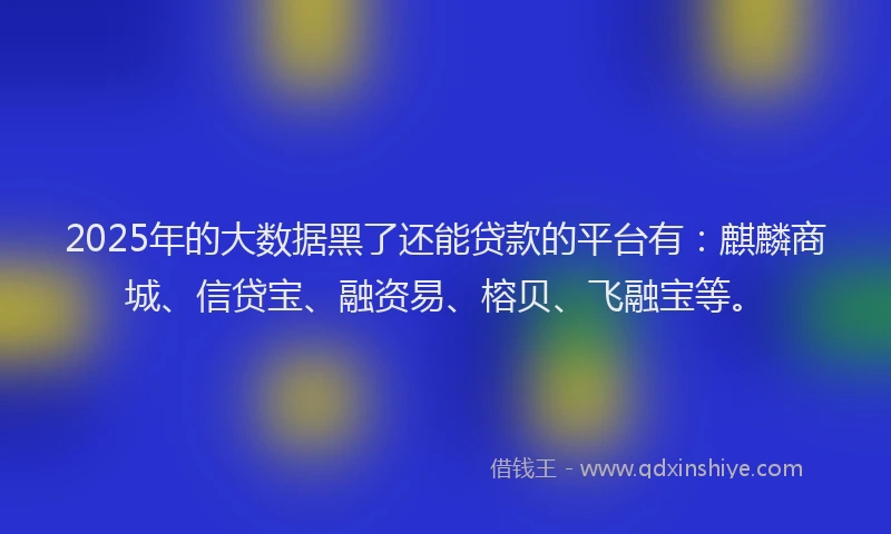 2025年的大数据黑了还能贷款的平台有：麒麟商城、信贷宝、融资易、榕贝、飞融宝等。