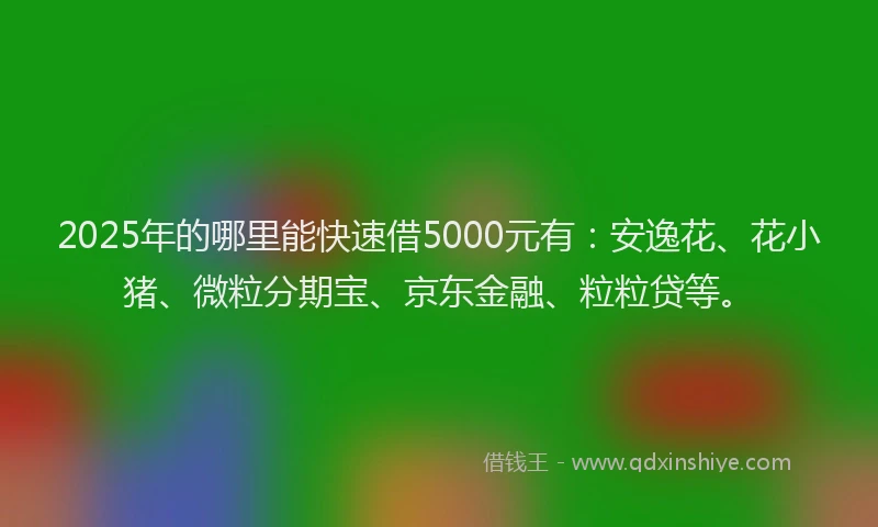 2025年的哪里能快速借5000元有：安逸花、花小猪、微粒分期宝、京东金融、粒粒贷等。