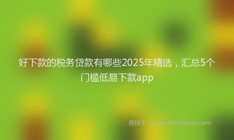 好下款的税务贷款有哪些2025年精选，汇总5个门槛低易下款app