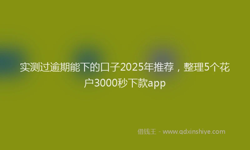 实测过逾期能下的口子2025年推荐，整理5个花户3000秒下款app