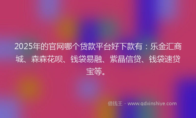 2025年的官网哪个贷款平台好下款有：乐金汇商城、森森花呗、钱袋易融、紫晶信贷、钱袋速贷宝等。