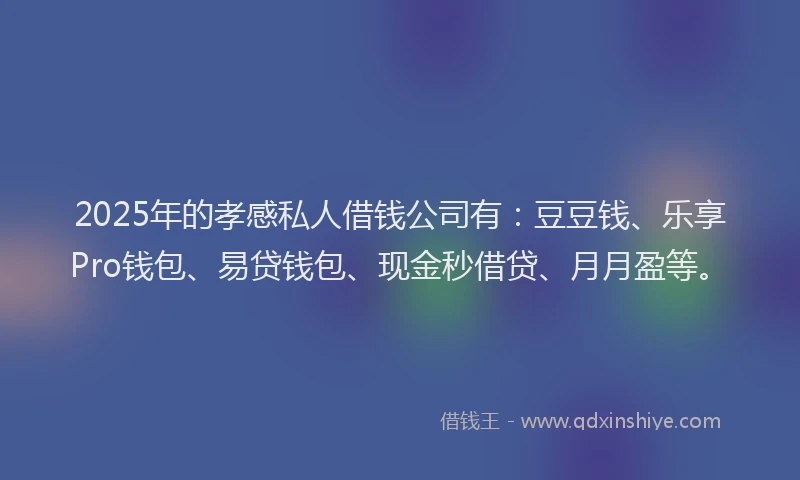 2025年的孝感私人借钱公司有：豆豆钱、乐享Pro钱包、易贷钱包、现金秒借贷、月月盈等。