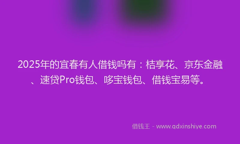 2025年的宜春有人借钱吗有：桔享花、京东金融、速贷Pro钱包、哆宝钱包、借钱宝易等。