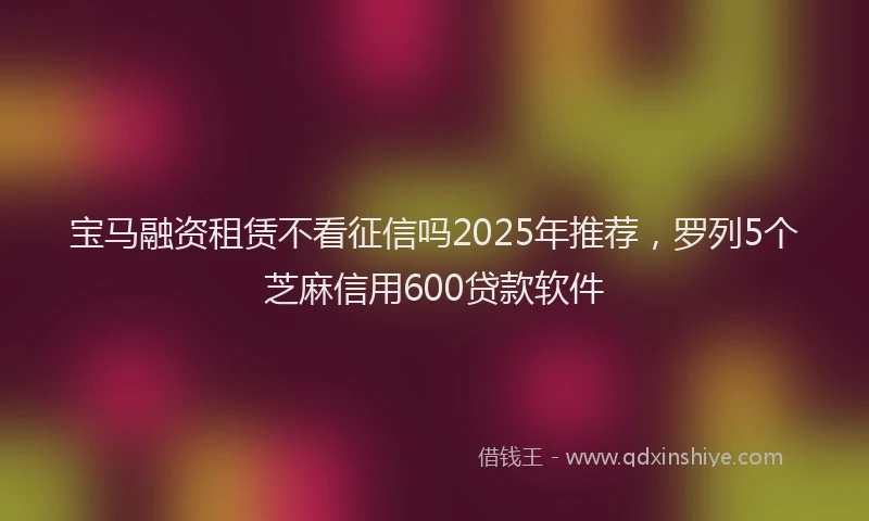 宝马融资租赁不看征信吗2025年推荐，罗列5个芝麻信用600贷款软件