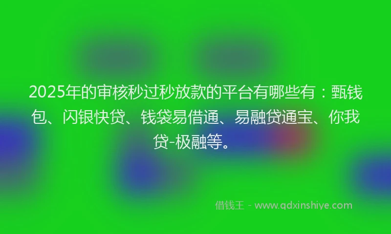 2025年的审核秒过秒放款的平台有哪些有：甄钱包、闪银快贷、钱袋易借通、易融贷通宝、你我贷-极融等。