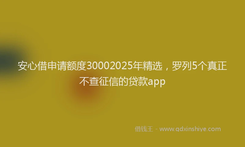 安心借申请额度30002025年精选，罗列5个真正不查征信的贷款app