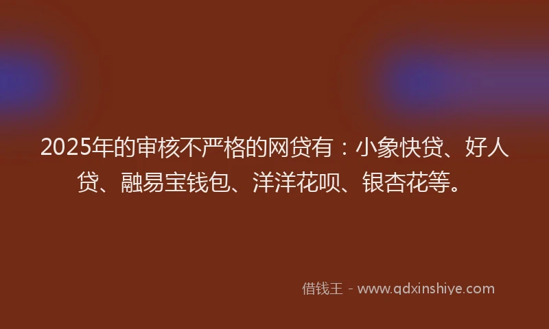 2025年的审核不严格的网贷有：小象快贷、好人贷、融易宝钱包、洋洋花呗、银杏花等。