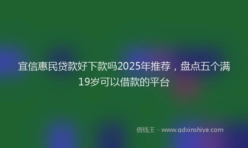 宜信惠民贷款好下款吗2025年推荐，盘点五个满19岁可以借款的平台