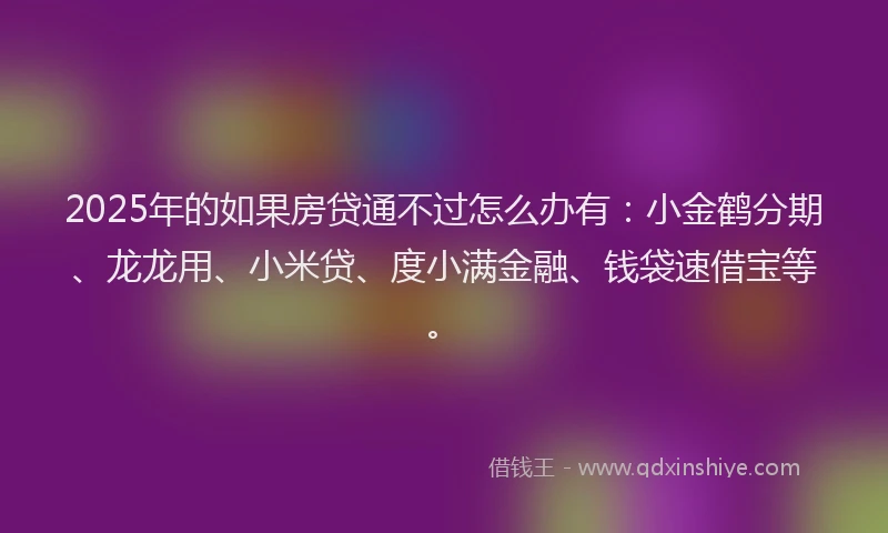 2025年的如果房贷通不过怎么办有：小金鹤分期、龙龙用、小米贷、度小满金融、钱袋速借宝等。