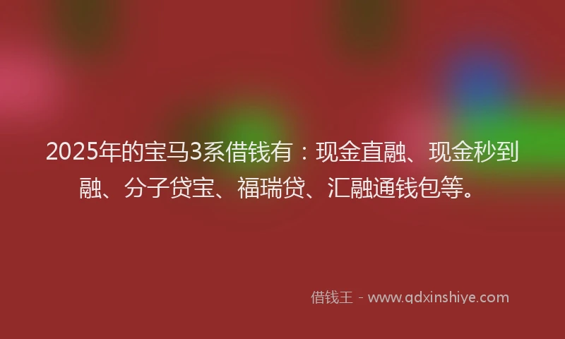 2025年的宝马3系借钱有：现金直融、现金秒到融、分子贷宝、福瑞贷、汇融通钱包等。