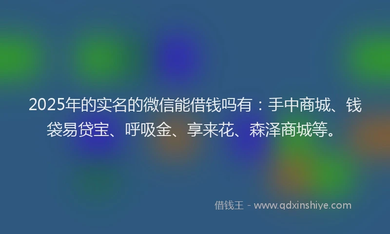 2025年的实名的微信能借钱吗有：手中商城、钱袋易贷宝、呼吸金、享来花、森泽商城等。